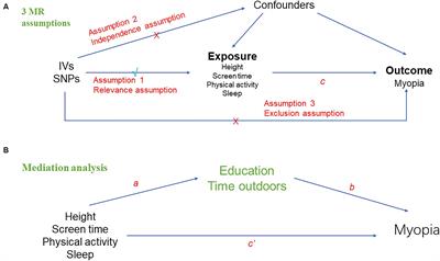 Causal relationships between height, screen time, physical activity, sleep and myopia: univariable and multivariable Mendelian randomization